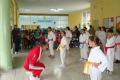 Karate Mala škola 10.10.2013. god.