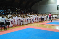 Karatisti škole  na školskom prvenstvu Srbije  u Bačkoj Palanci 07.12.2014. godine 